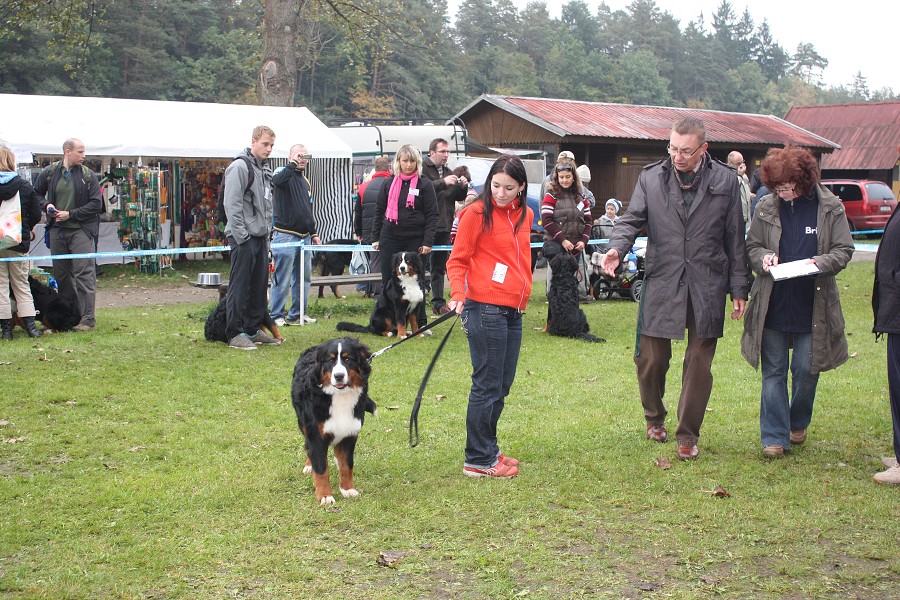 Vrh A - Svod mladých 