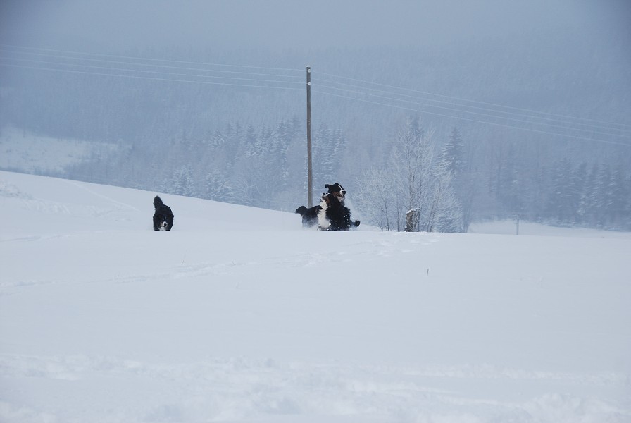 Sivestr 2010 Deštné