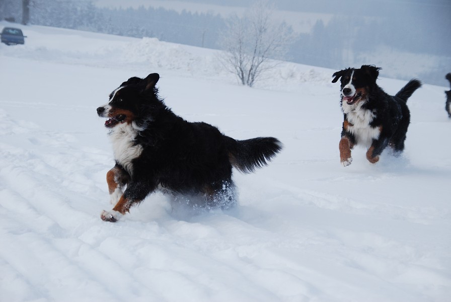 Sivestr 2010 Deštné