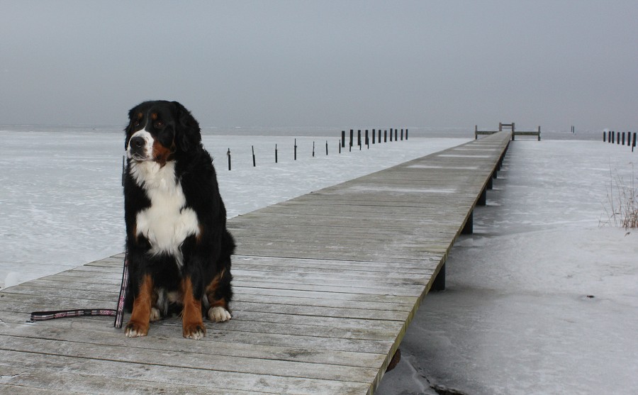 cesta do Švédska / trip to Sweden