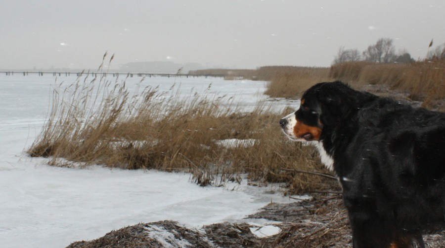 cesta do Švédska / trip to Sweden