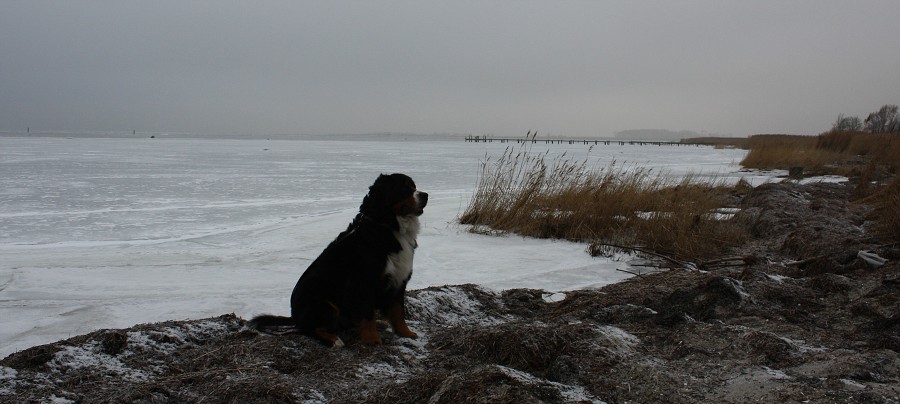 cesta do Švédska / trip to Sweden