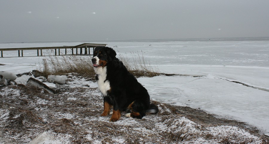 cesta do Švédska / trip to Sweden