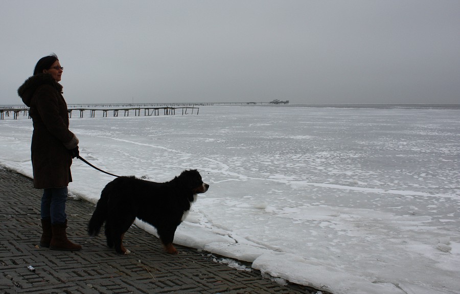 cesta do Švédska / trip to Sweden