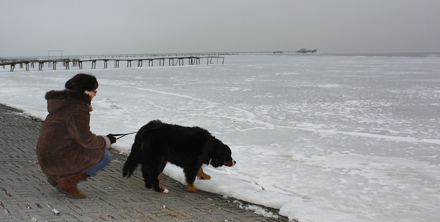 cesta do Švédska / trip to Sweden