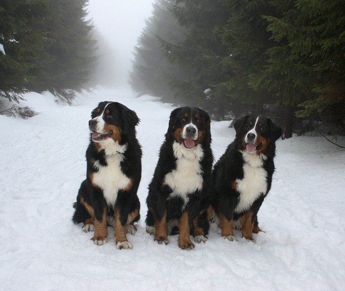 Orlické hory - Silvestr 2011