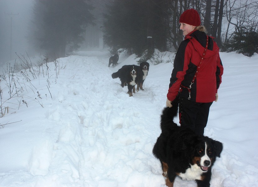 Orlické hory - Silvestr 2011