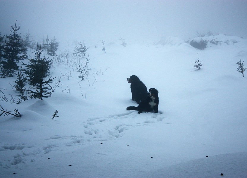 Orlické hory - Silvestr 2011