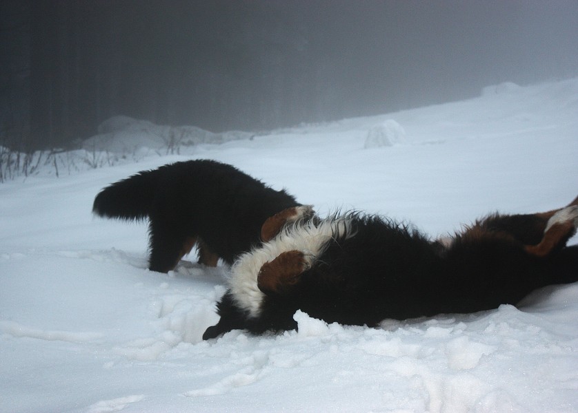 Orlické hory - Silvestr 2011