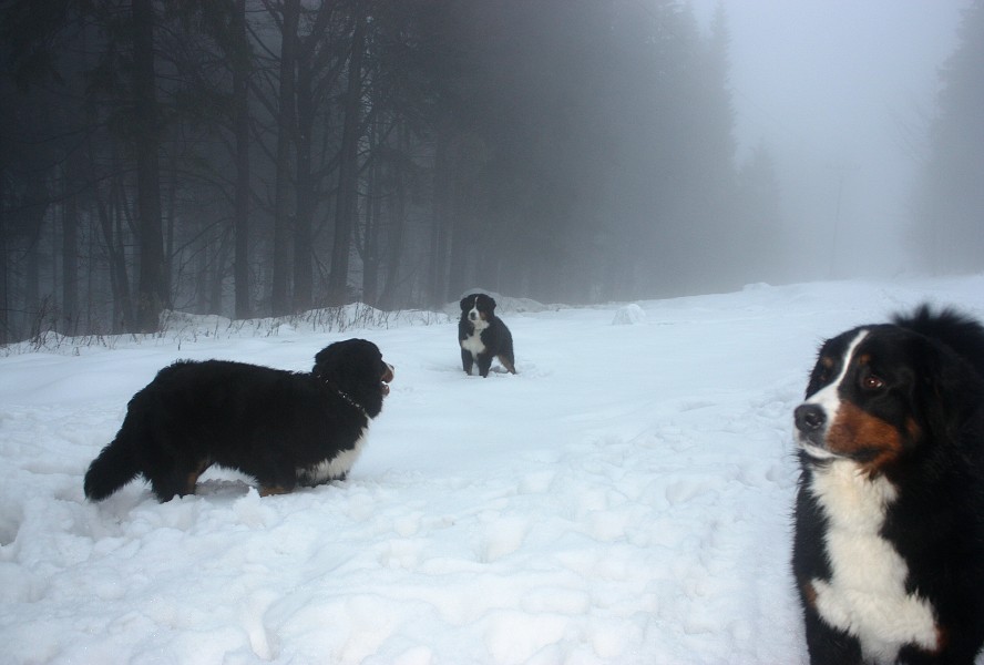 Orlické hory - Silvestr 2011