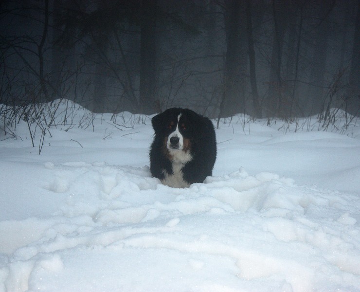 Orlické hory - Silvestr 2011