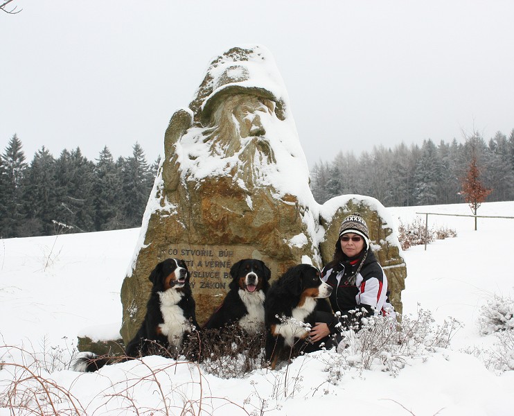 Orlické hory - Silvestr 2011