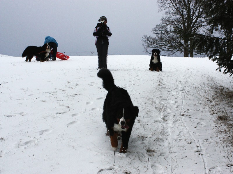 Orlické hory - Silvestr 2011