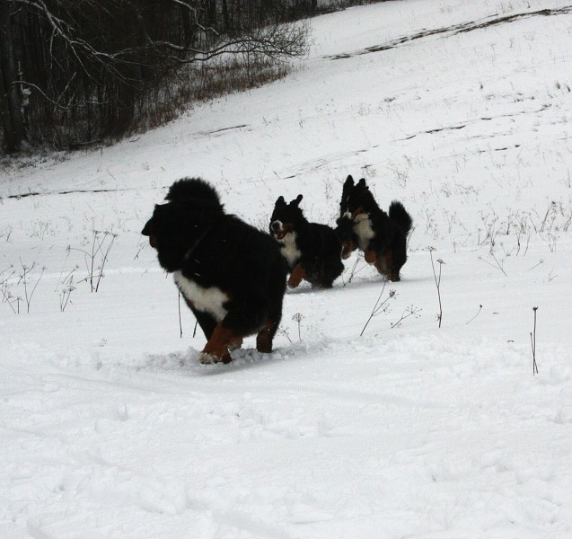 Orlické hory - Silvestr 2011