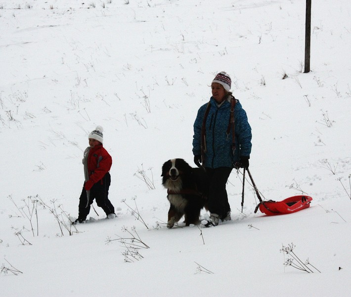 Orlické hory - Silvestr 2011