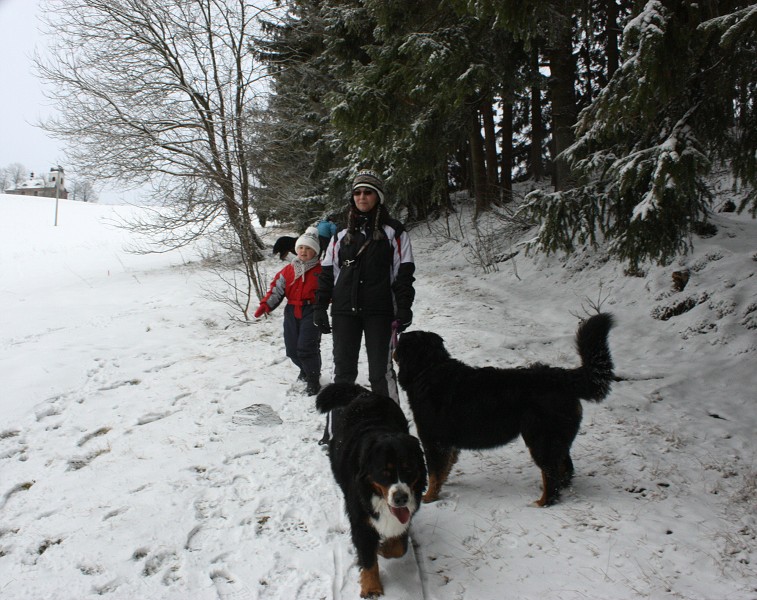 Orlické hory - Silvestr 2011