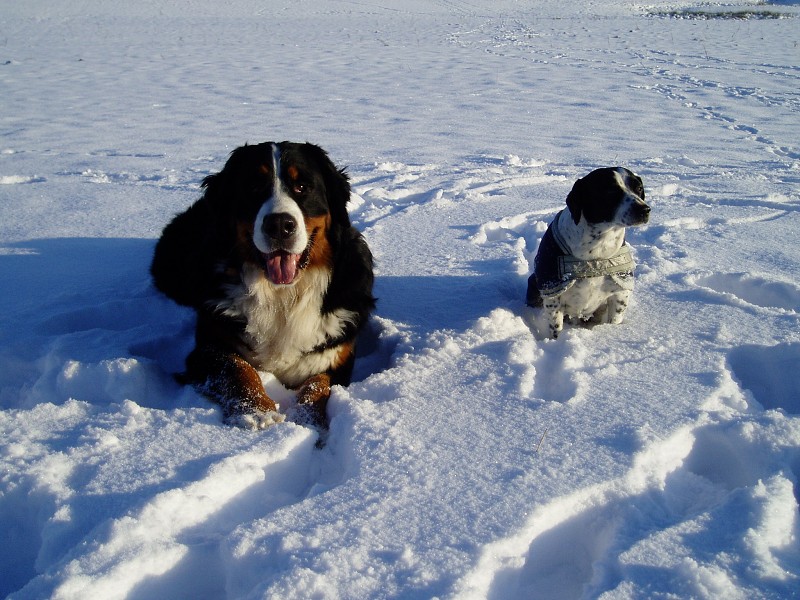 Orlické hory - Silvestr 2011