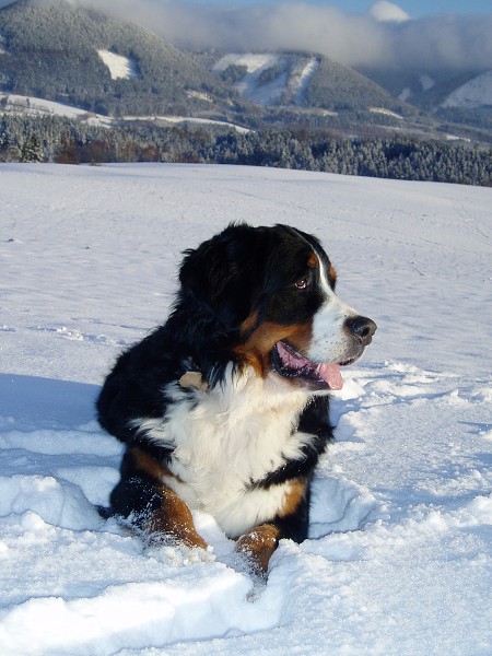 Orlické hory - Silvestr 2011