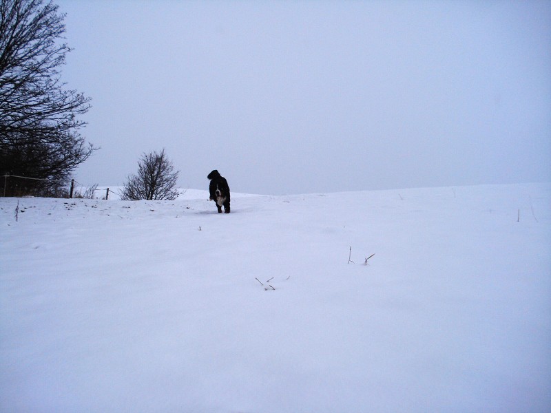 Orlické hory - Silvestr 2011