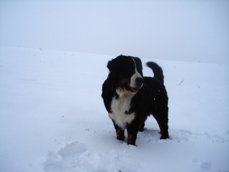 Orlické hory - Silvestr 2011