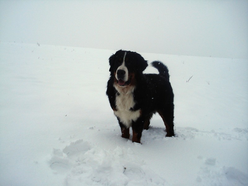 Orlické hory - Silvestr 2011