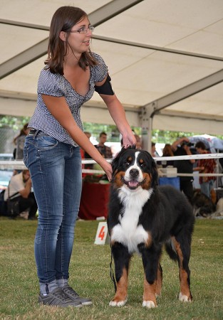 CACIB Mladá Boleslav