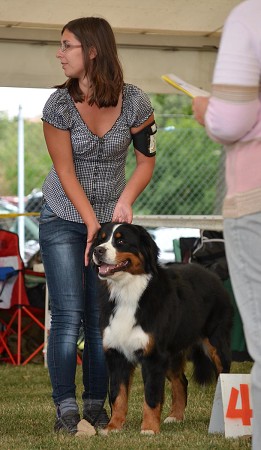CACIB Mladá Boleslav
