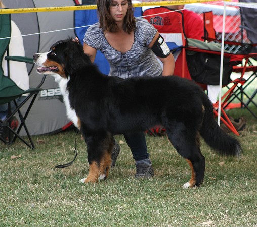 CACIB Mladá Boleslav