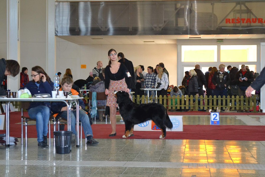 DUO Nitra - Prosinec 2012 - November