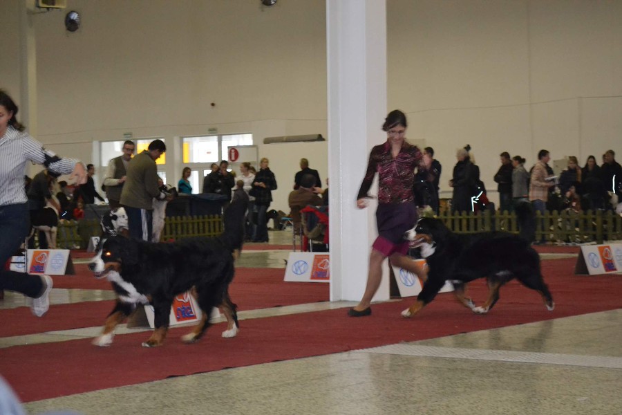 DUO Nitra - Prosinec 2012 - November