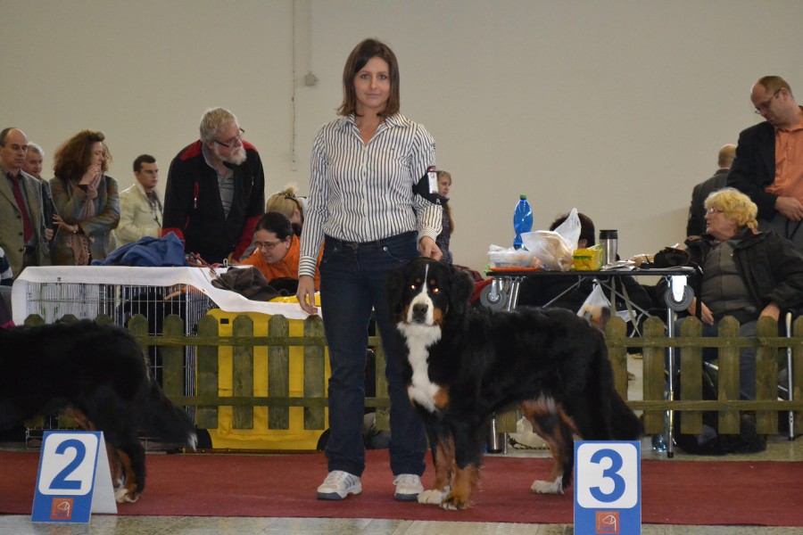 DUO Nitra - Prosinec 2012 - November
