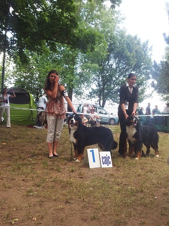 CAC Senec a DUO CACIB Nitra- Brionny Ruth Ladyca 