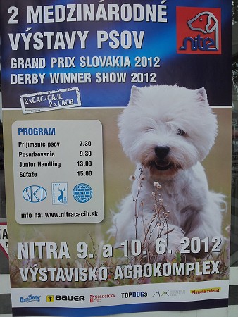 CAC Senec a DUO CACIB Nitra- Brionny Ruth Ladyca 