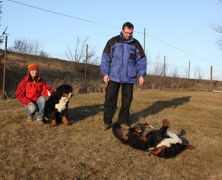 Cita s Abby Ladyca Bern - Leden 2012