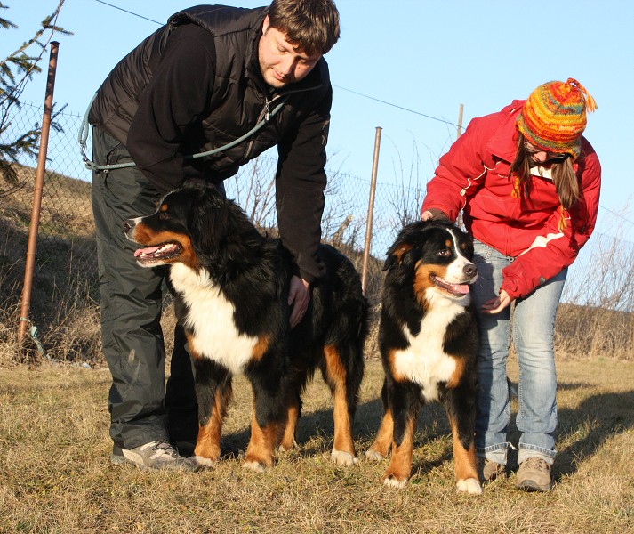 Baltic Max a Brionny Ruth - Leden 2012