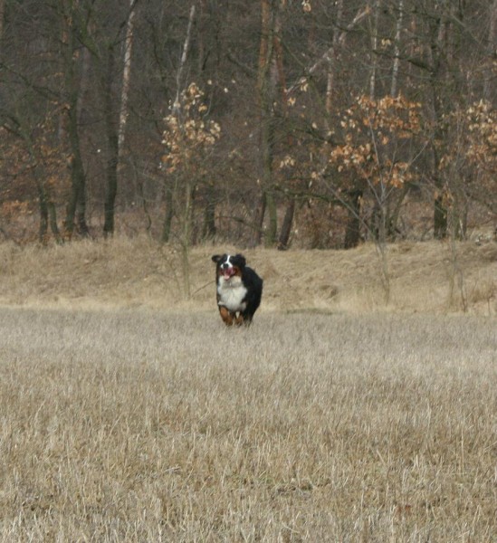 Březen 2012 - společná procházka