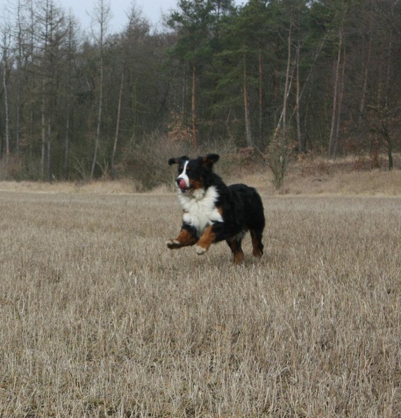 Březen 2012 - společná procházka