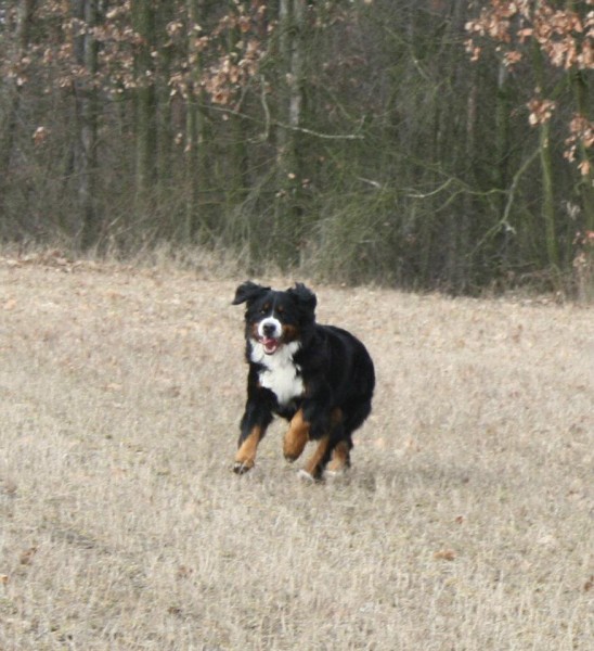 Březen 2012 - společná procházka