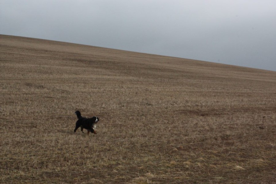 Březen 2012 - společná procházka
