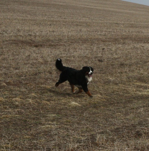 Březen 2012 - společná procházka