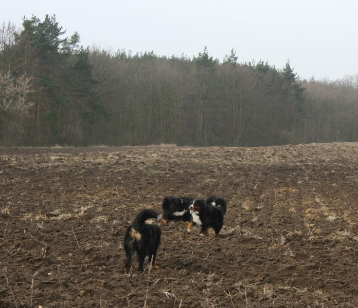 Březen 2012 - společná procházka