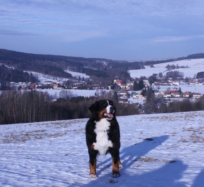 Nový rok 2013