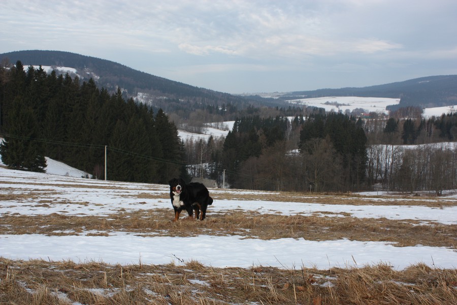 Nový rok 2013