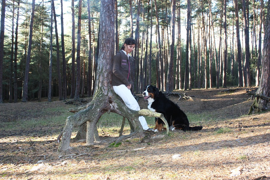 Procházka v říjnovém lese