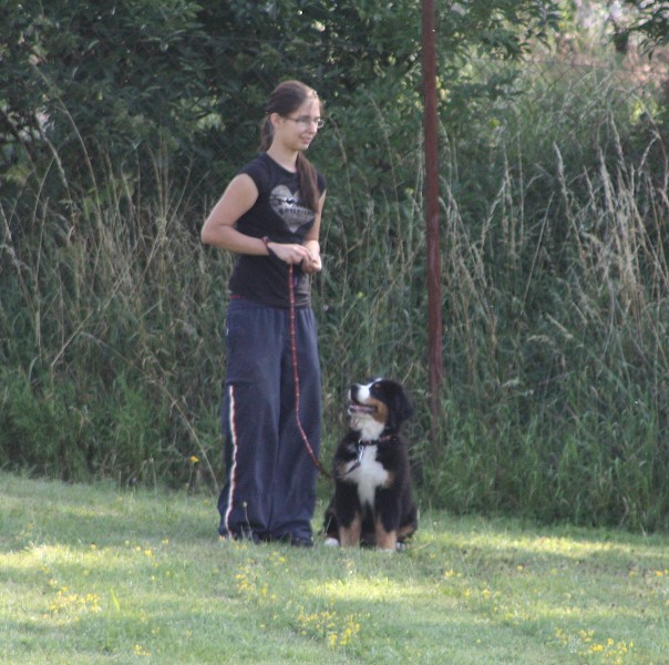 Rutynka poprvé na cvičáku