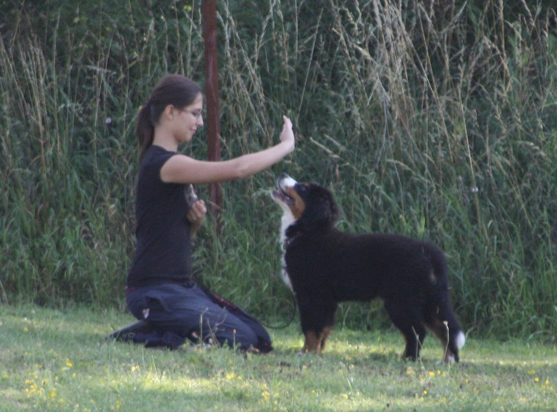 Rutynka poprvé na cvičáku