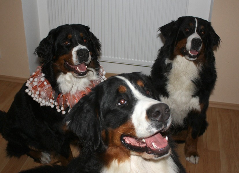 Cituška 2. narozeniny