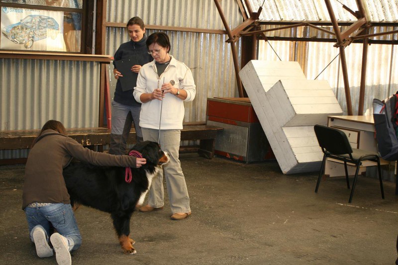 Cita ze Slunného dvora - bonitace 27. 9. 2009