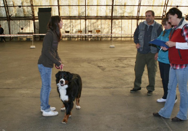 Cita ze Slunného dvora - bonitace 27. 9. 2009