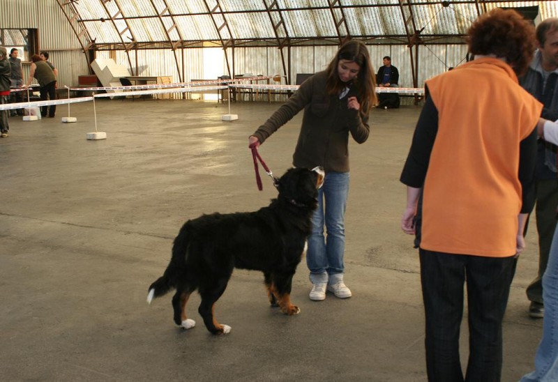 Cita ze Slunného dvora - bonitace 27. 9. 2009